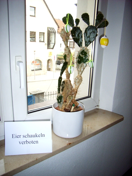 Eier schaukeln verboten