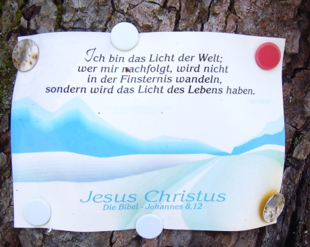 Johannes 8 Vers 12
