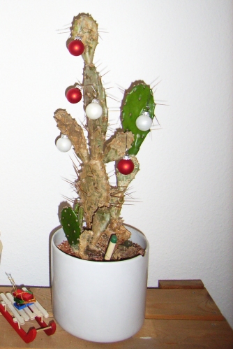 Weihnachtsbaum